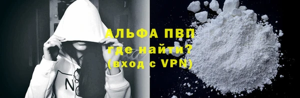 стаф Ладушкин