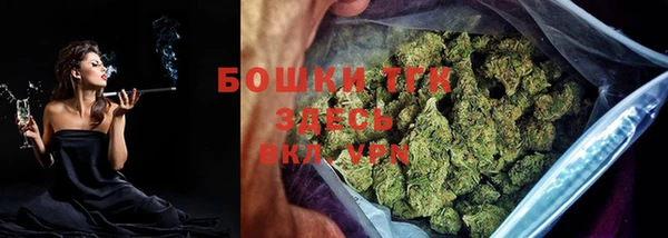 стаф Ладушкин