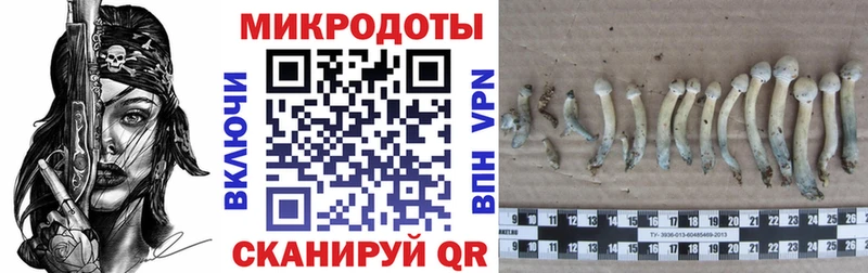 Псилоцибиновые грибы ЛСД  Туапсе 