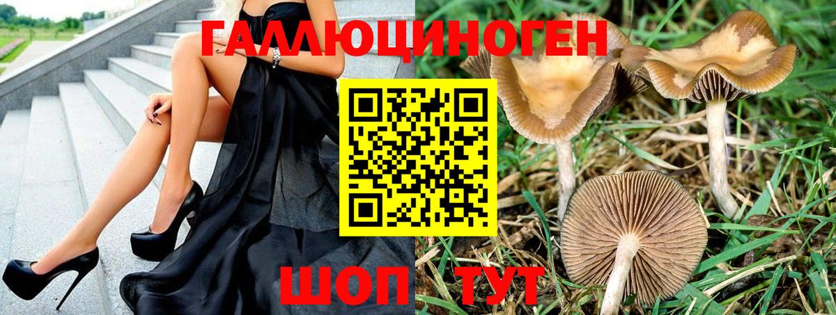 Туапсе  Псилоцибиновые грибы мицелий  Вход с VPN 