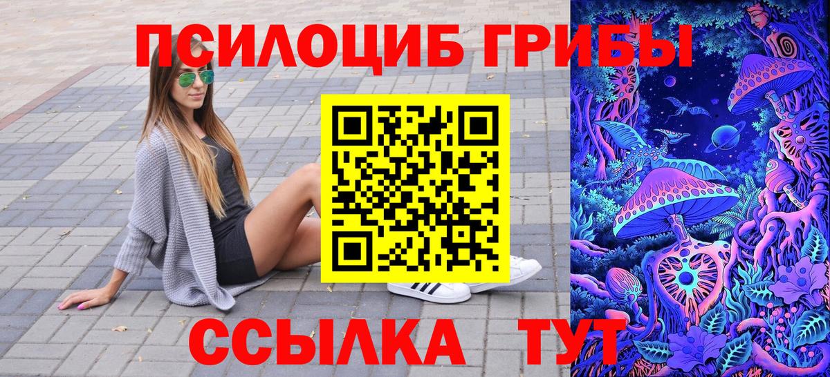 Псилоцибиновые грибы Psilocybe Туапсе