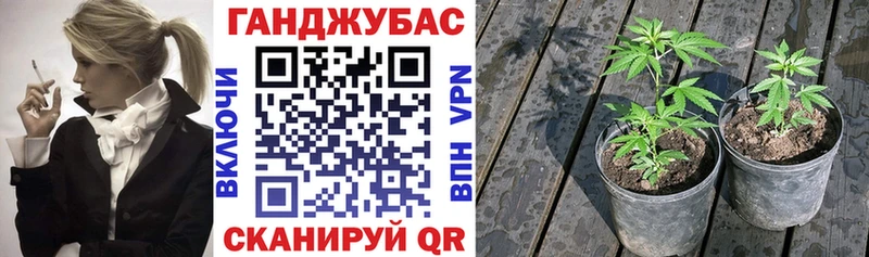 где можно купить наркотик  Туапсе  Бошки марихуана план 